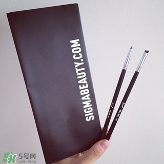 sigma��ױˢ��ô�� sigma��ױˢ����